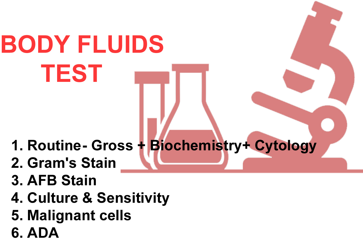 Body Fluids Test