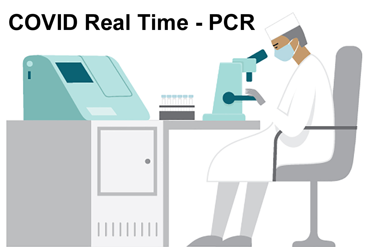 MOLECULAR BIOLOGY - COVID Real Time - PCR